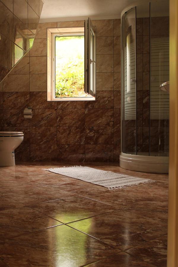 Apartma Brest Gornji Grad Extérieur photo